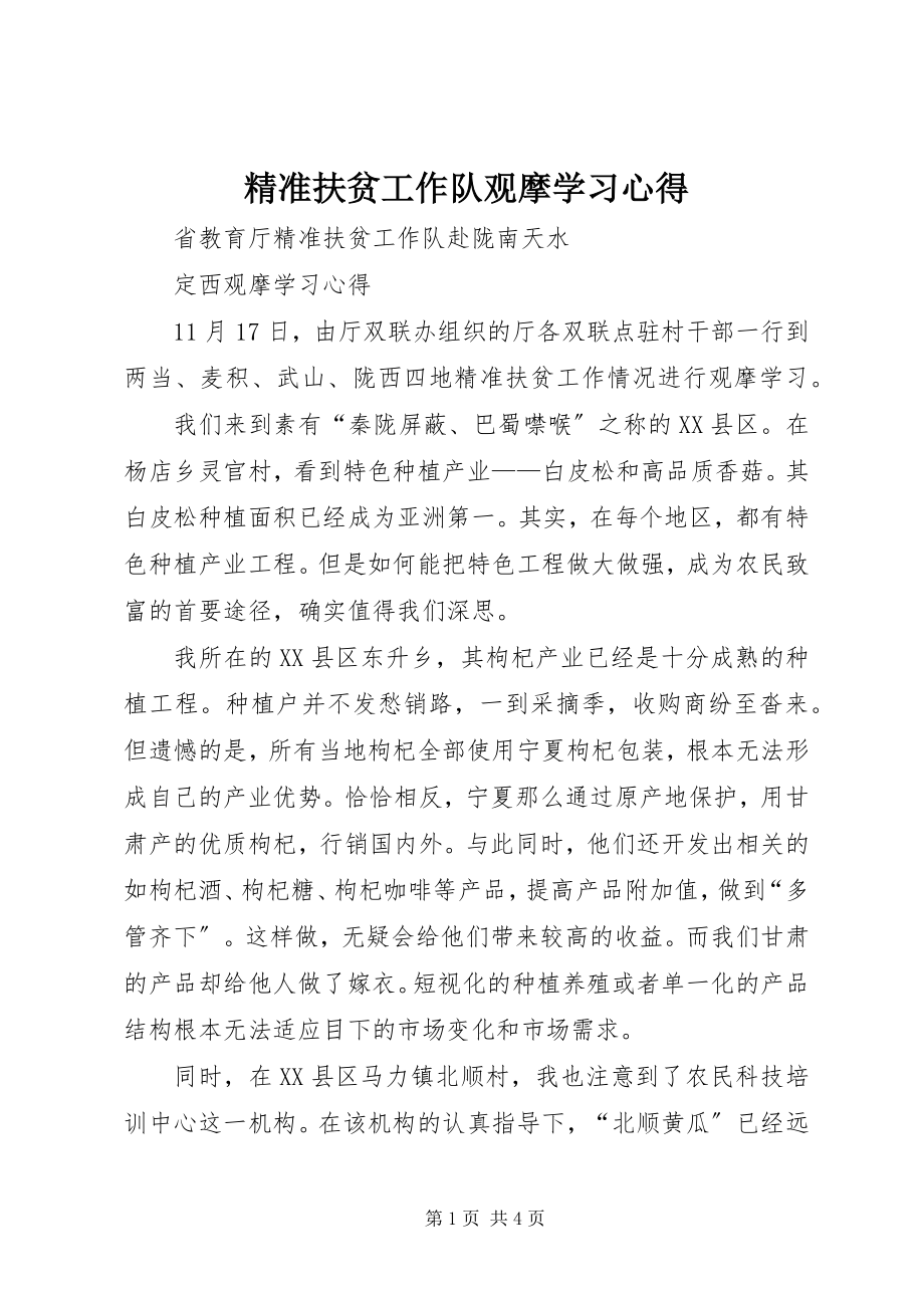 2023年精准扶贫工作队观摩学习心得.docx_第1页