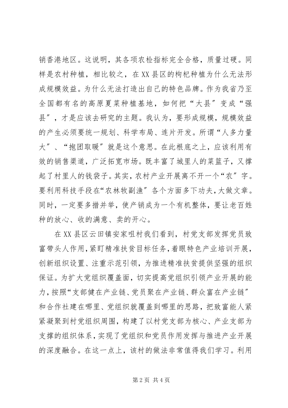 2023年精准扶贫工作队观摩学习心得.docx_第2页