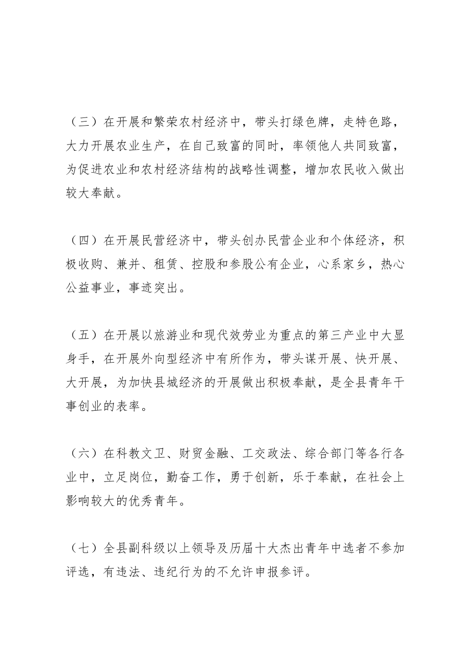 2023年十大杰出青年评选活动方案2.doc_第2页