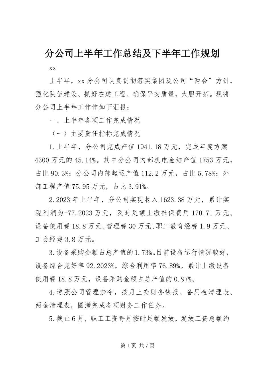 2023年分公司上半年工作总结及下半年工作规划.docx_第1页