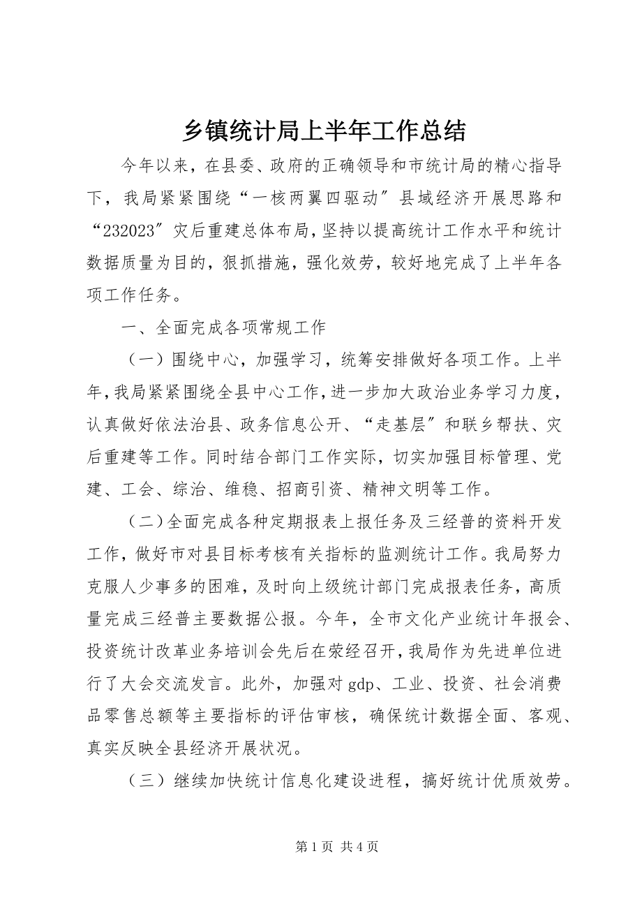 2023年乡镇统计局上半年工作总结.docx_第1页