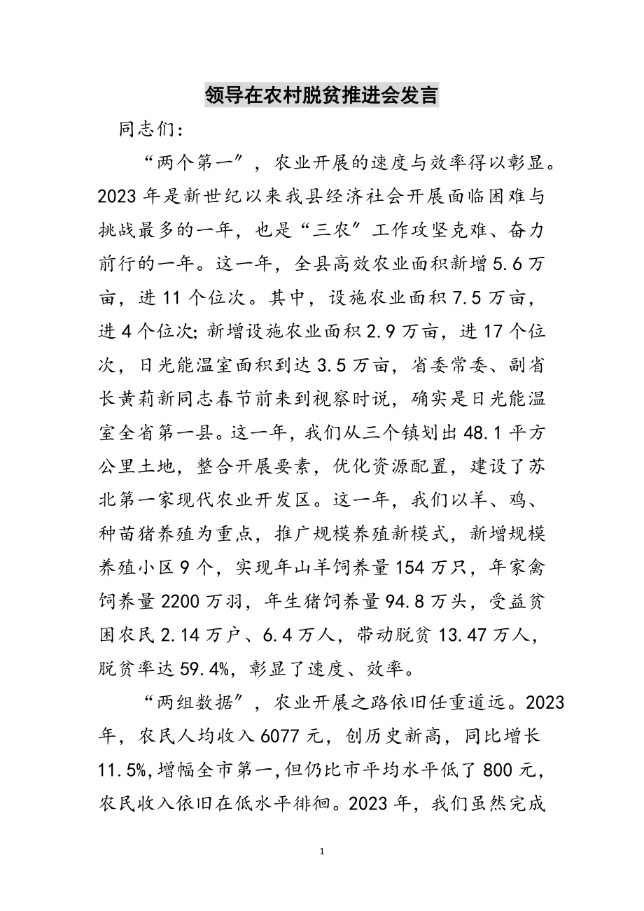 2023年领导在农村脱贫推进会发言范文.doc_第1页