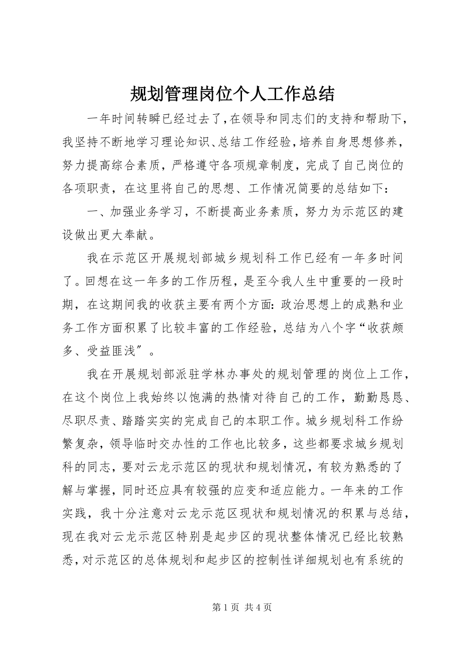 2023年规划管理岗位个人工作总结.docx_第1页