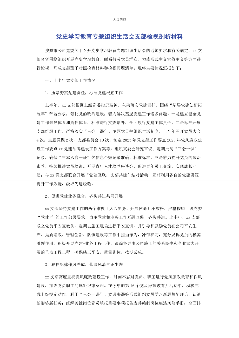 2023年党史学习教育专题组织生活会支部检视剖析材料.docx_第1页