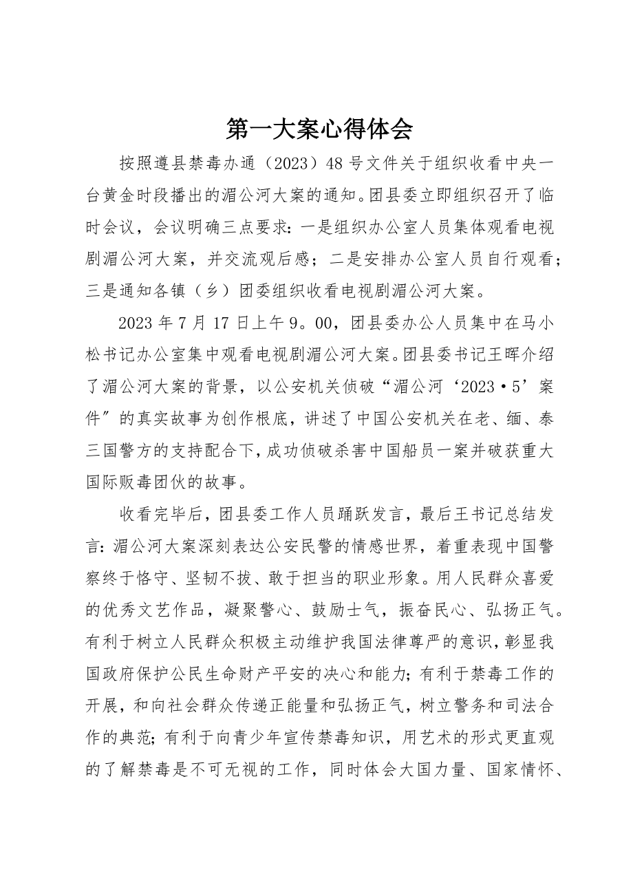 2023年第一大案心得体会新编.docx_第1页