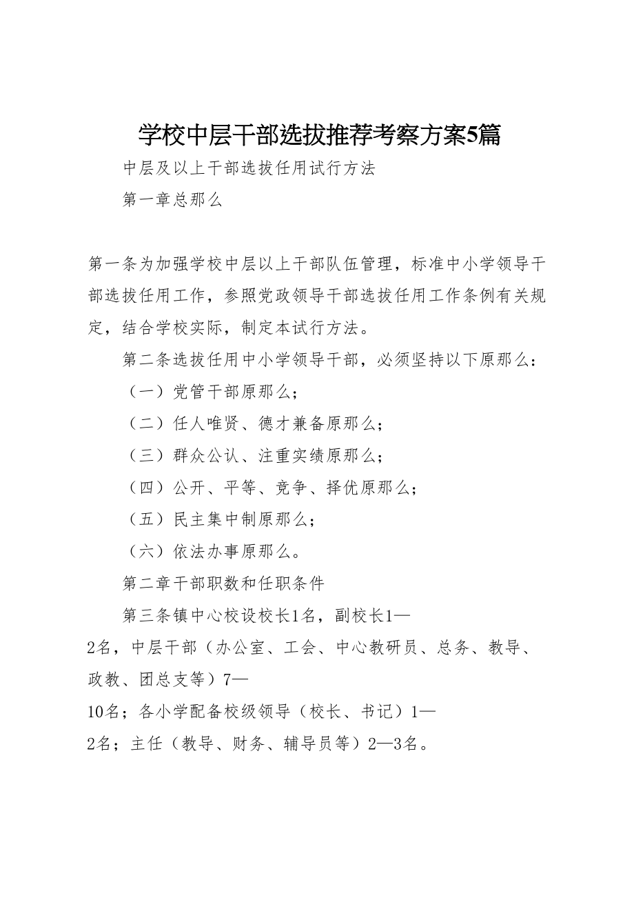 2023年学校中层干部选拔推荐考察方案5篇 4.doc_第1页