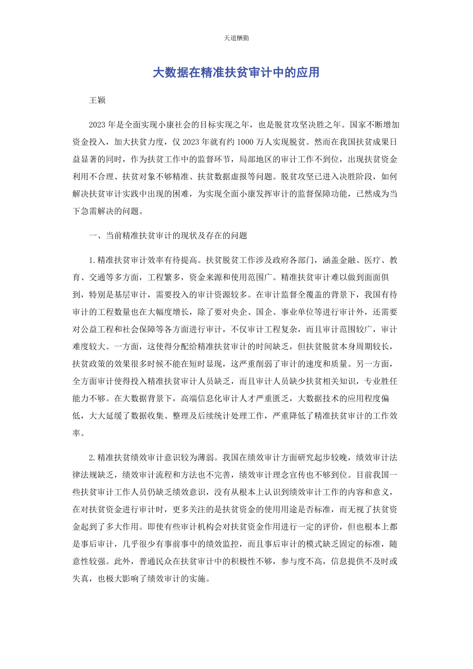 2023年大数据在精准扶贫审计中的应用.docx_第1页