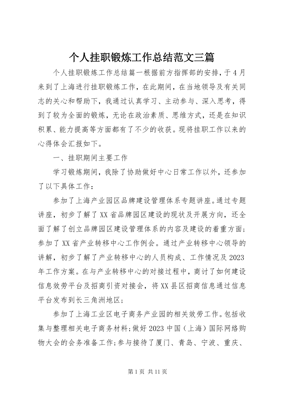 2023年个人挂职锻炼工作总结精选三篇.docx_第1页