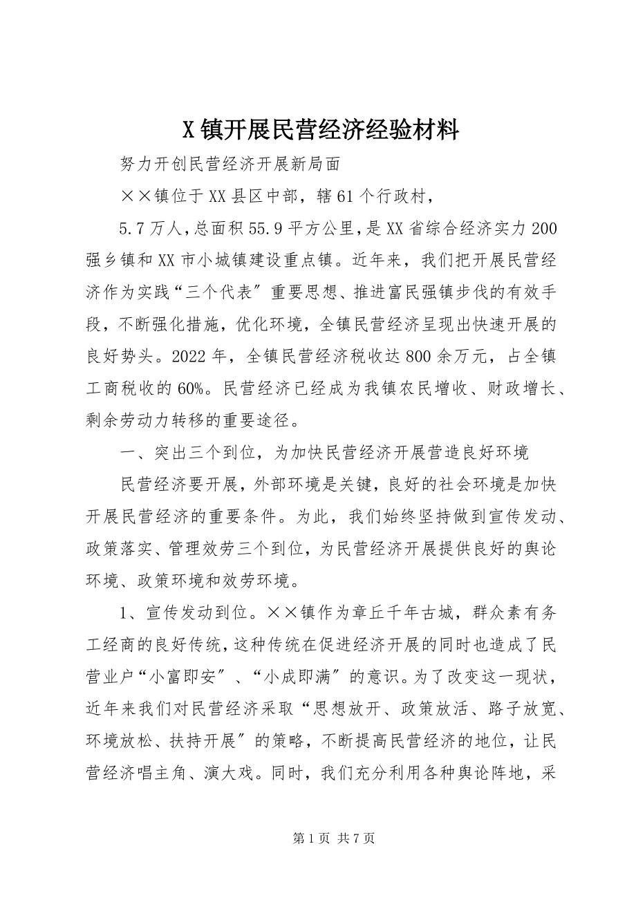 2023年X镇发展民营经济经验材料新编.docx_第1页