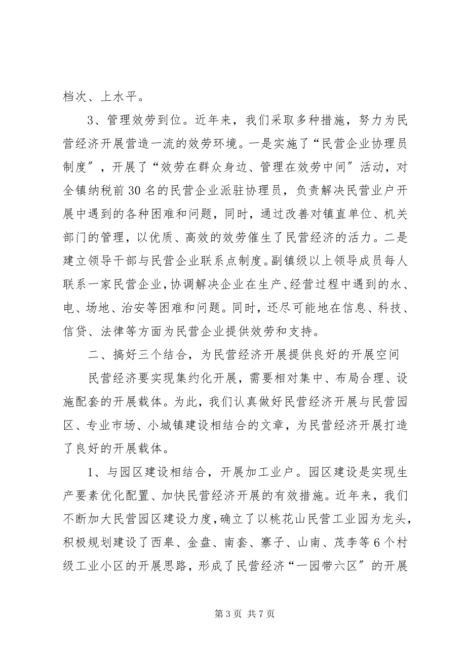 2023年X镇发展民营经济经验材料新编.docx_第3页