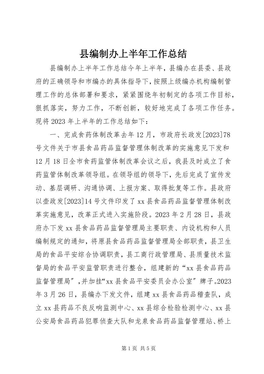 2023年县编制办上半年工作总结.docx_第1页