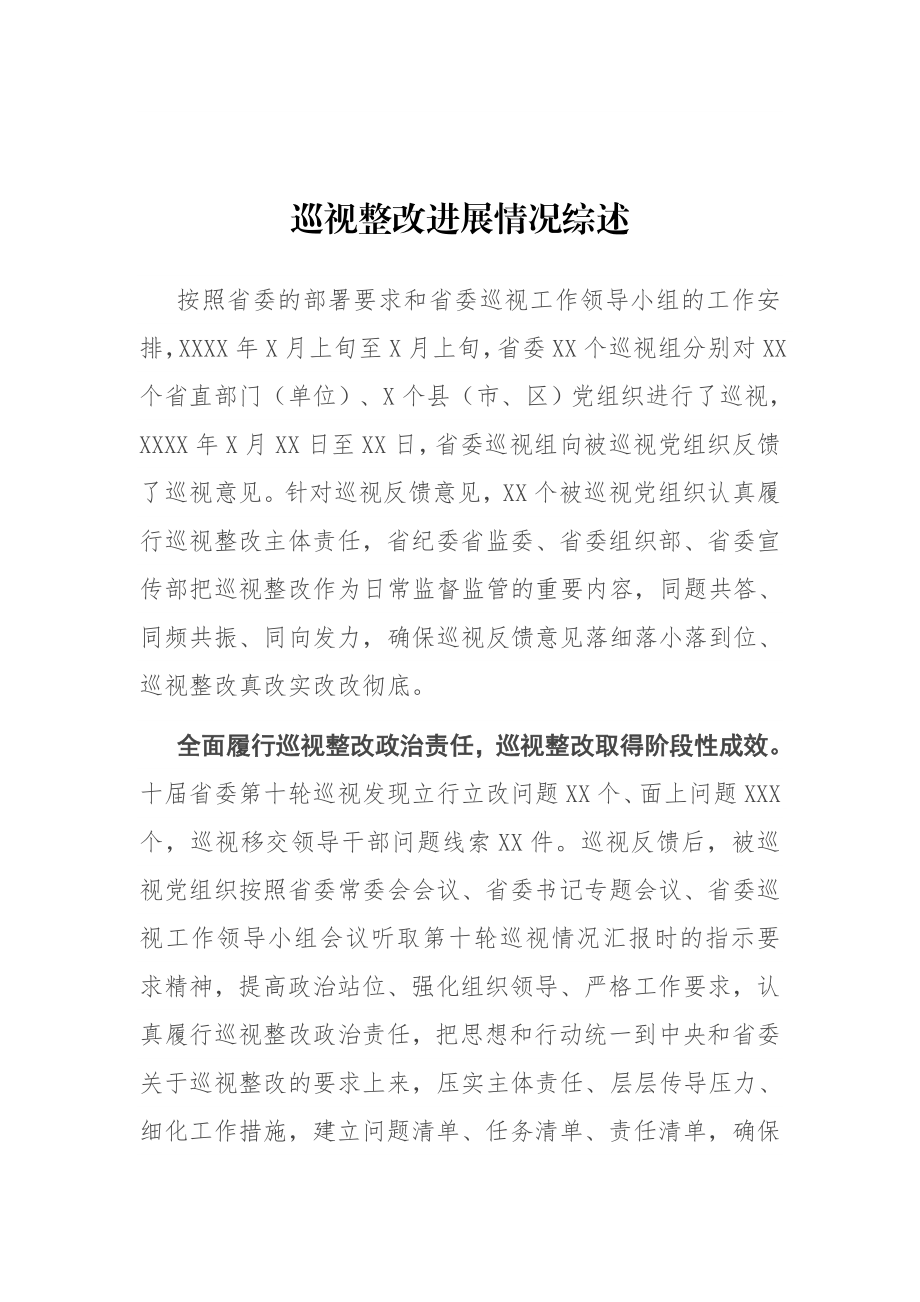 巡视整改进展情况综述.docx_第1页