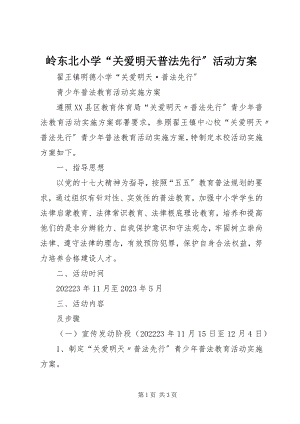 2023年岭东北小学“关爱明天普法先行”活动计划.docx