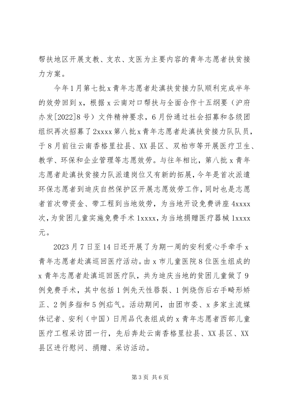 2023年青年志愿者委员会工作总结范例两篇.docx_第3页