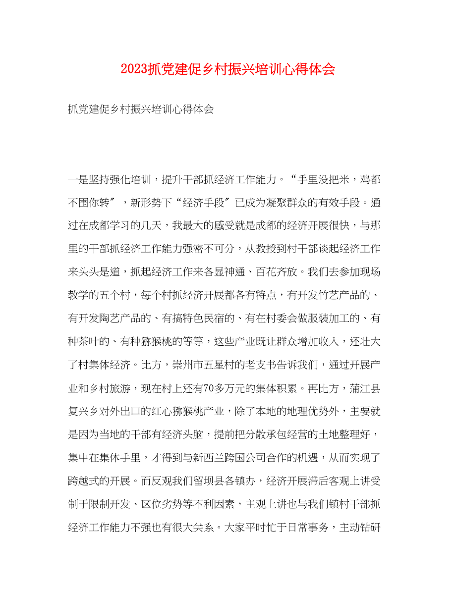 2023年抓党建促乡村振兴培训心得体会1.docx_第1页