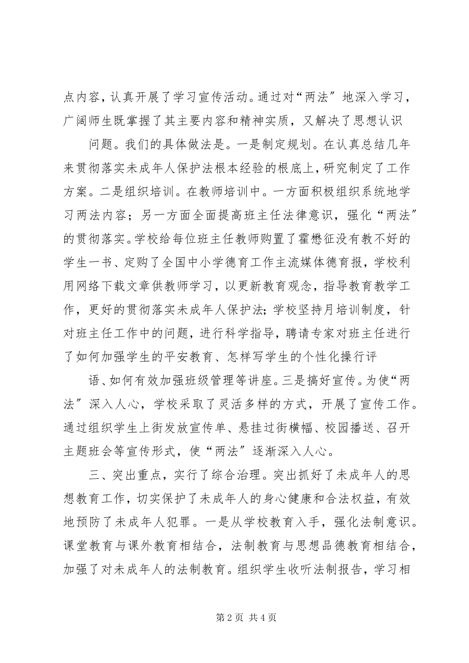 2023年预防青少年违法犯罪工作总结.docx_第2页