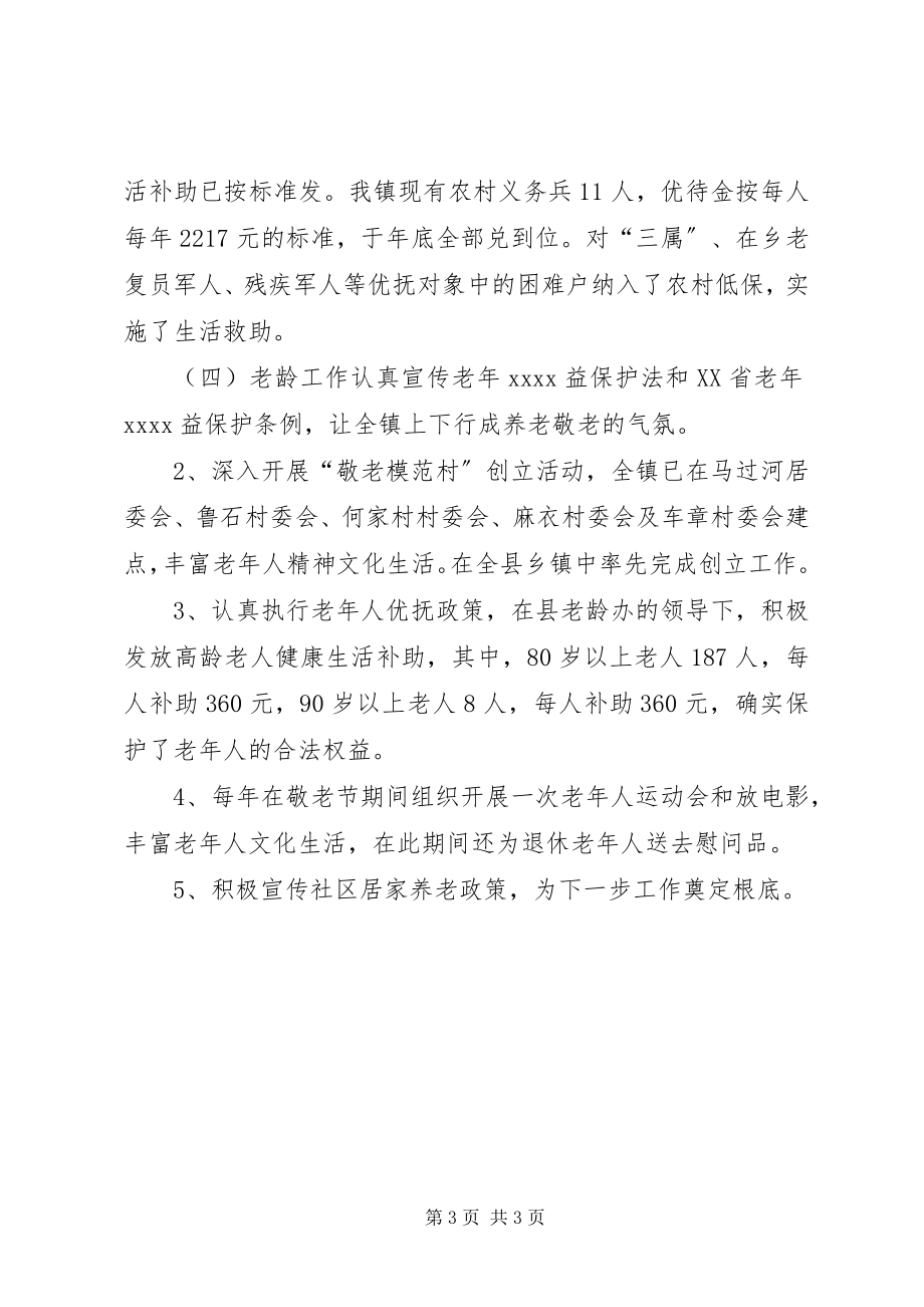 2023年乡镇年度民政办工作总结.docx_第3页