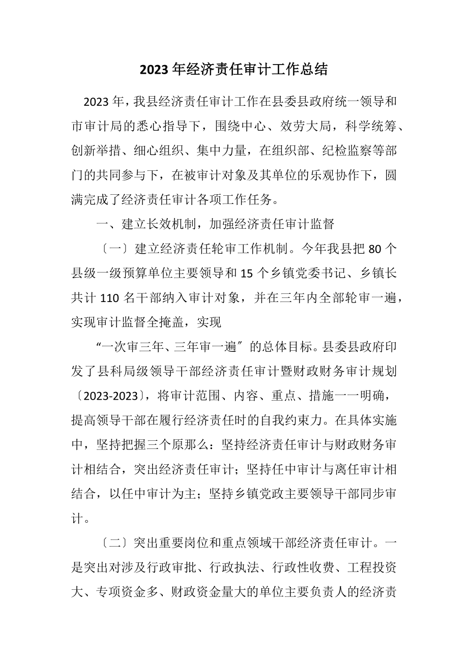 2023年经济责任审计工作总结.docx_第1页