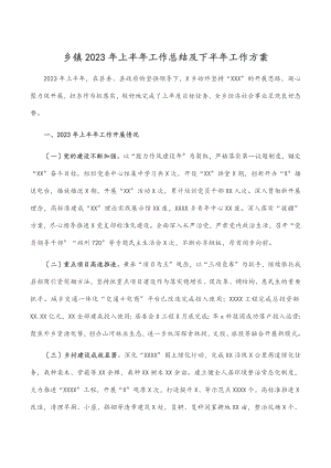 乡镇2023年上半年工作总结及下半年工作计划范文.docx