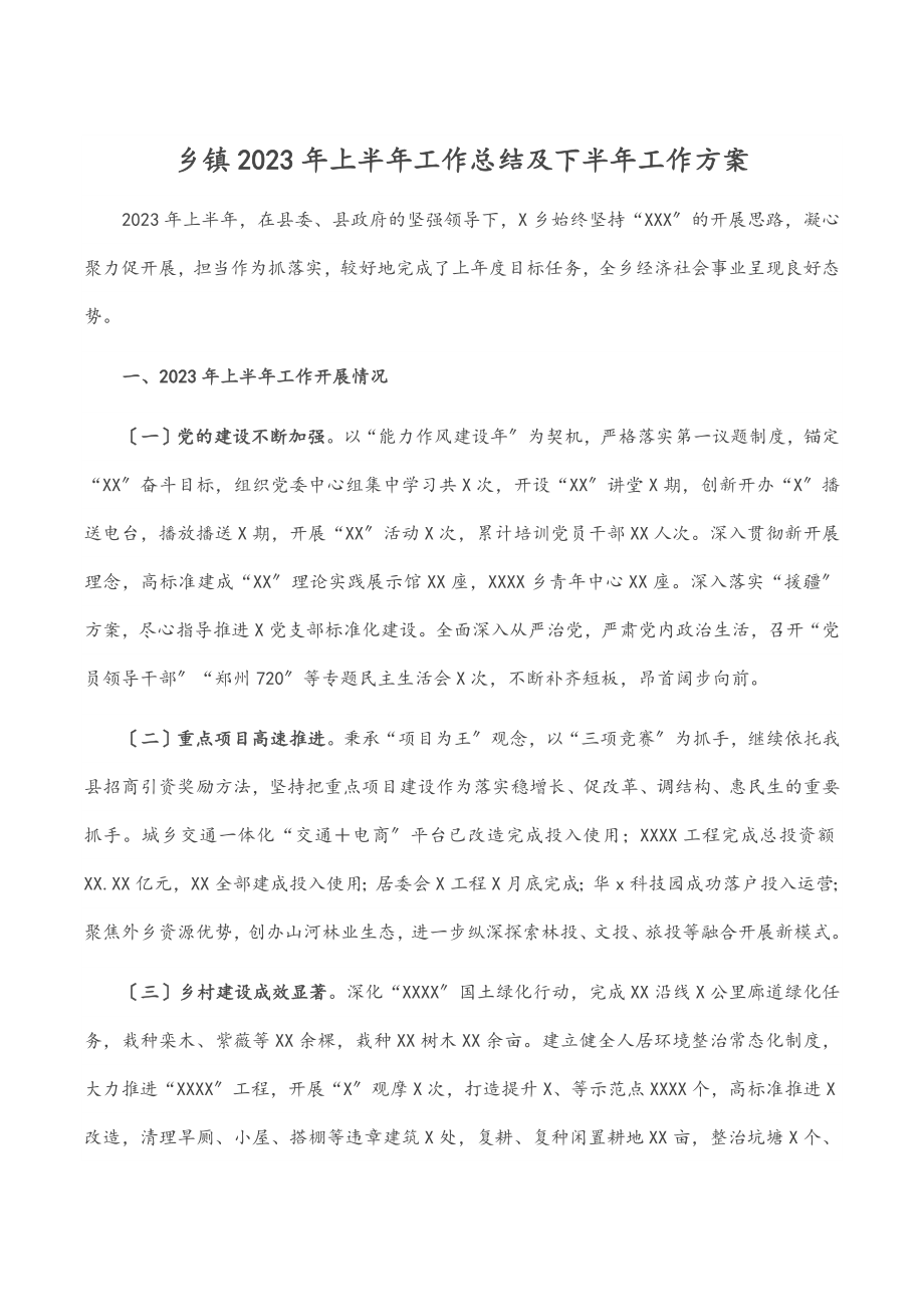 乡镇2023年上半年工作总结及下半年工作计划范文.docx_第1页