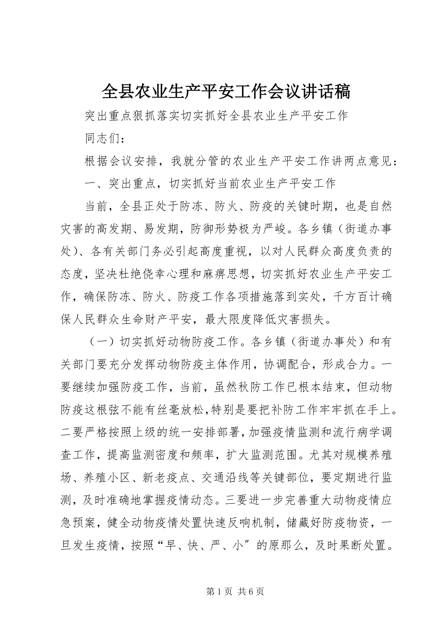 2023年全县农业生产安全工作会议致辞稿.docx_第1页