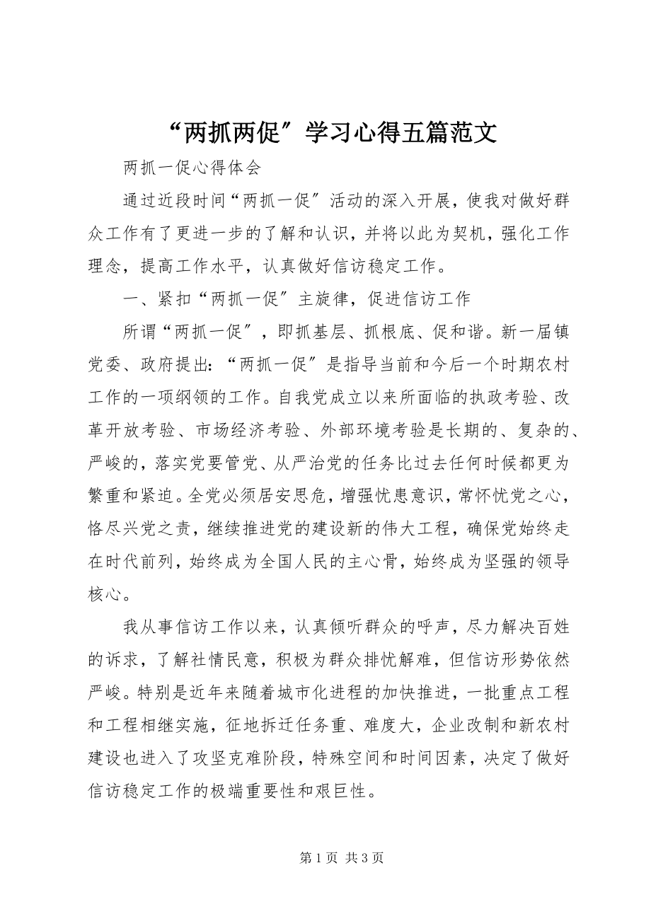 2023年“两抓两促”学习心得五篇新编.docx_第1页