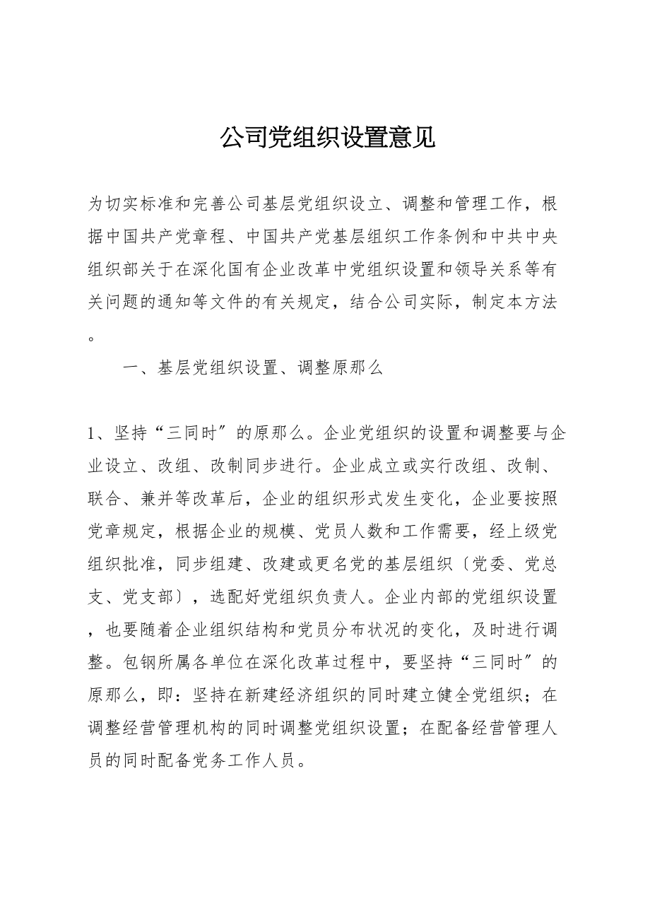 2023年公司党组织设置意见.doc_第1页