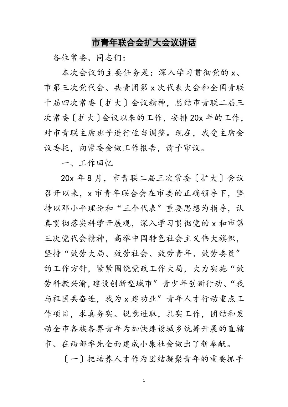 2023年市青年联合会扩大会议讲话范文.doc_第1页