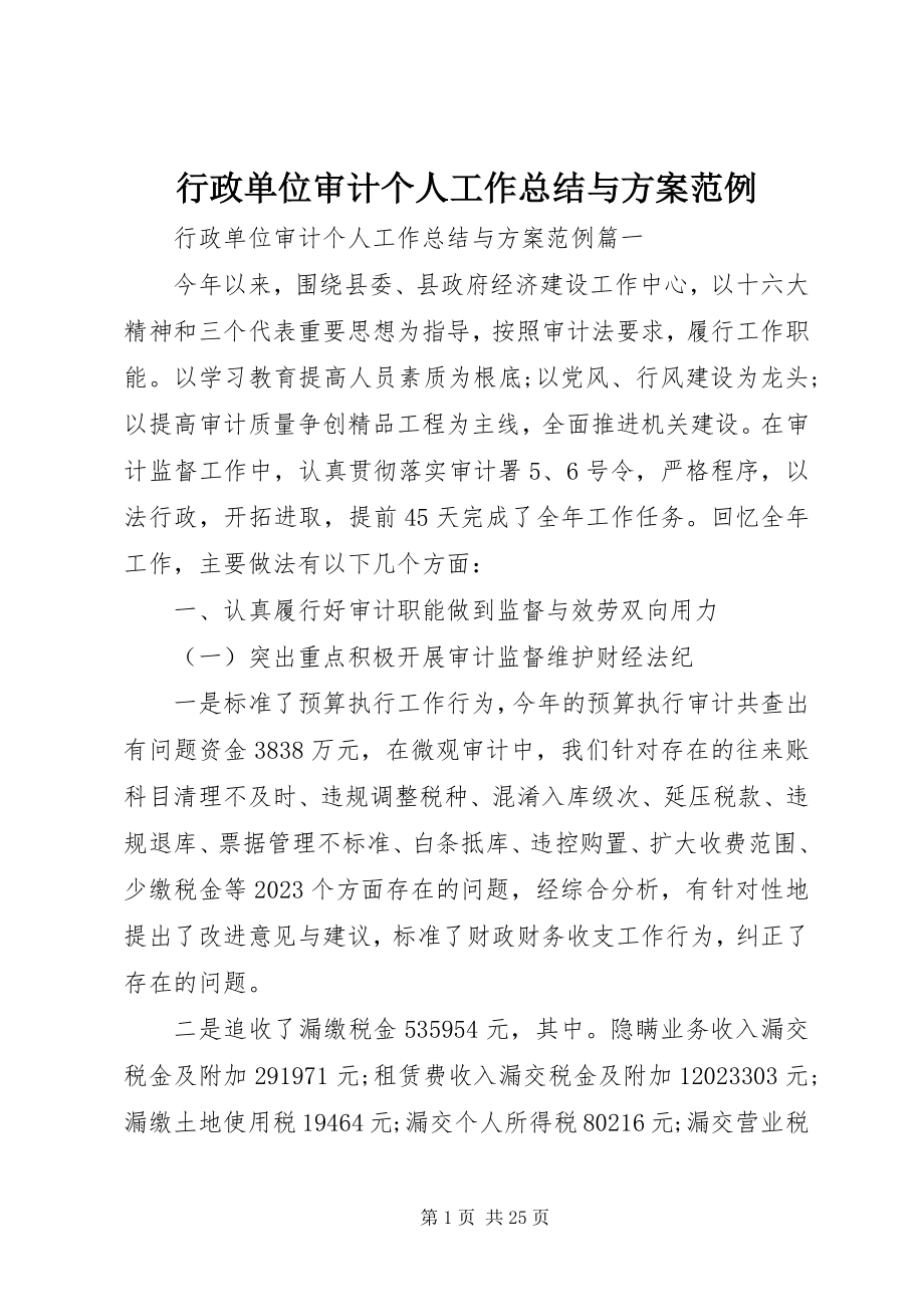 2023年行政单位审计个人工作总结与计划范例.docx_第1页