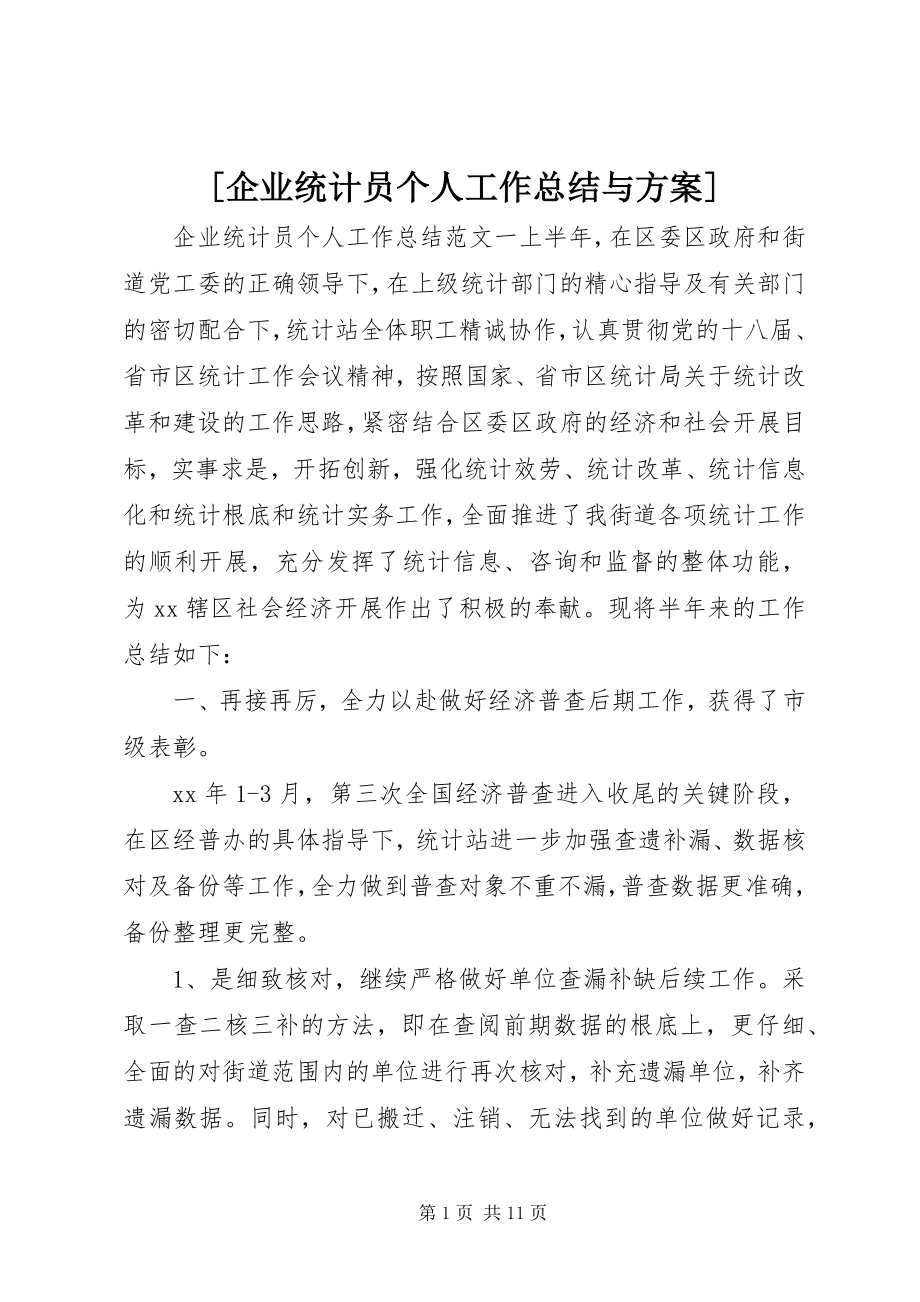 2023年企业统计员个人工作总结与计划新编.docx_第1页