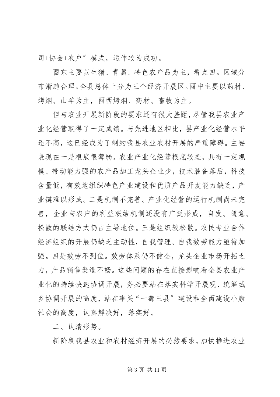 2023年农工委总结农业产业化致辞.docx_第3页