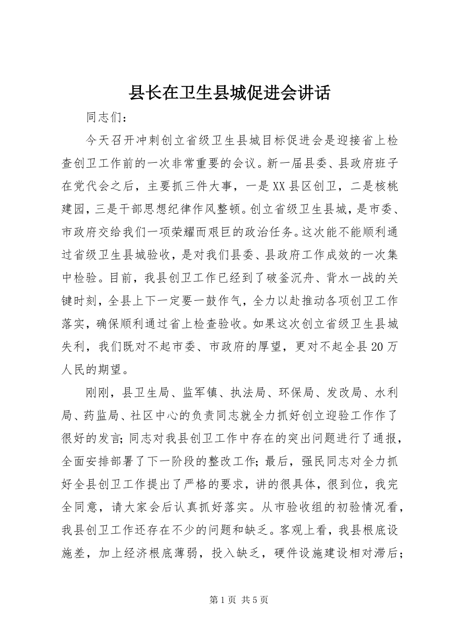 2023年县长在卫生县城促进会致辞.docx_第1页