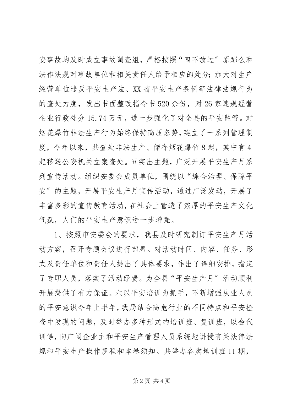 2023年安监局总结和安监局计划新编.docx_第2页