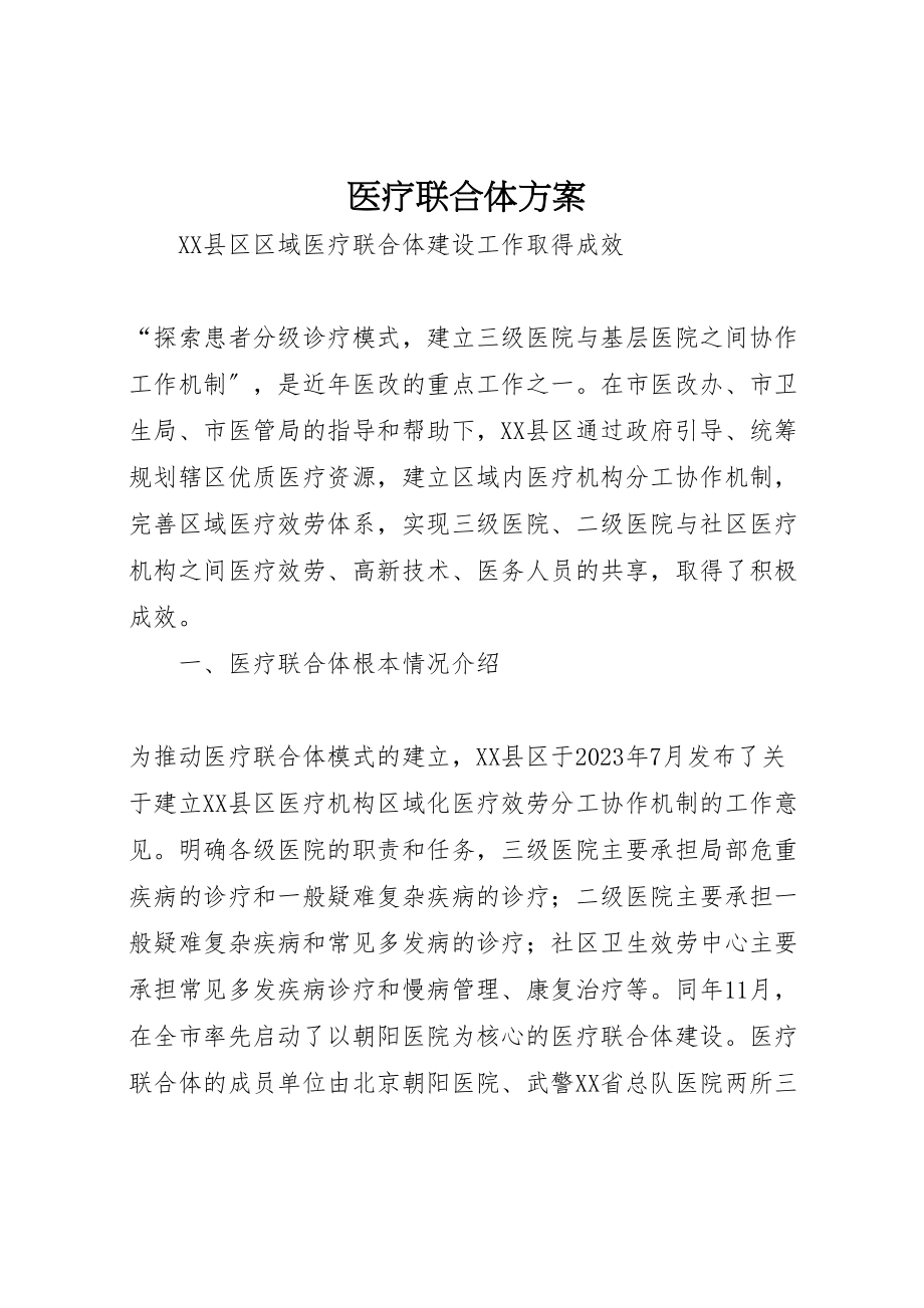 2023年医疗联合体方案 2.doc_第1页