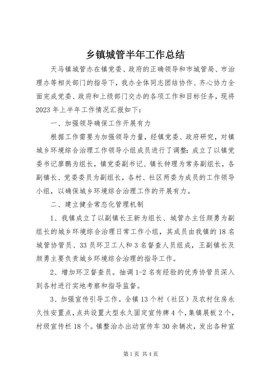 2023年乡镇城管半年工作总结.docx_第1页