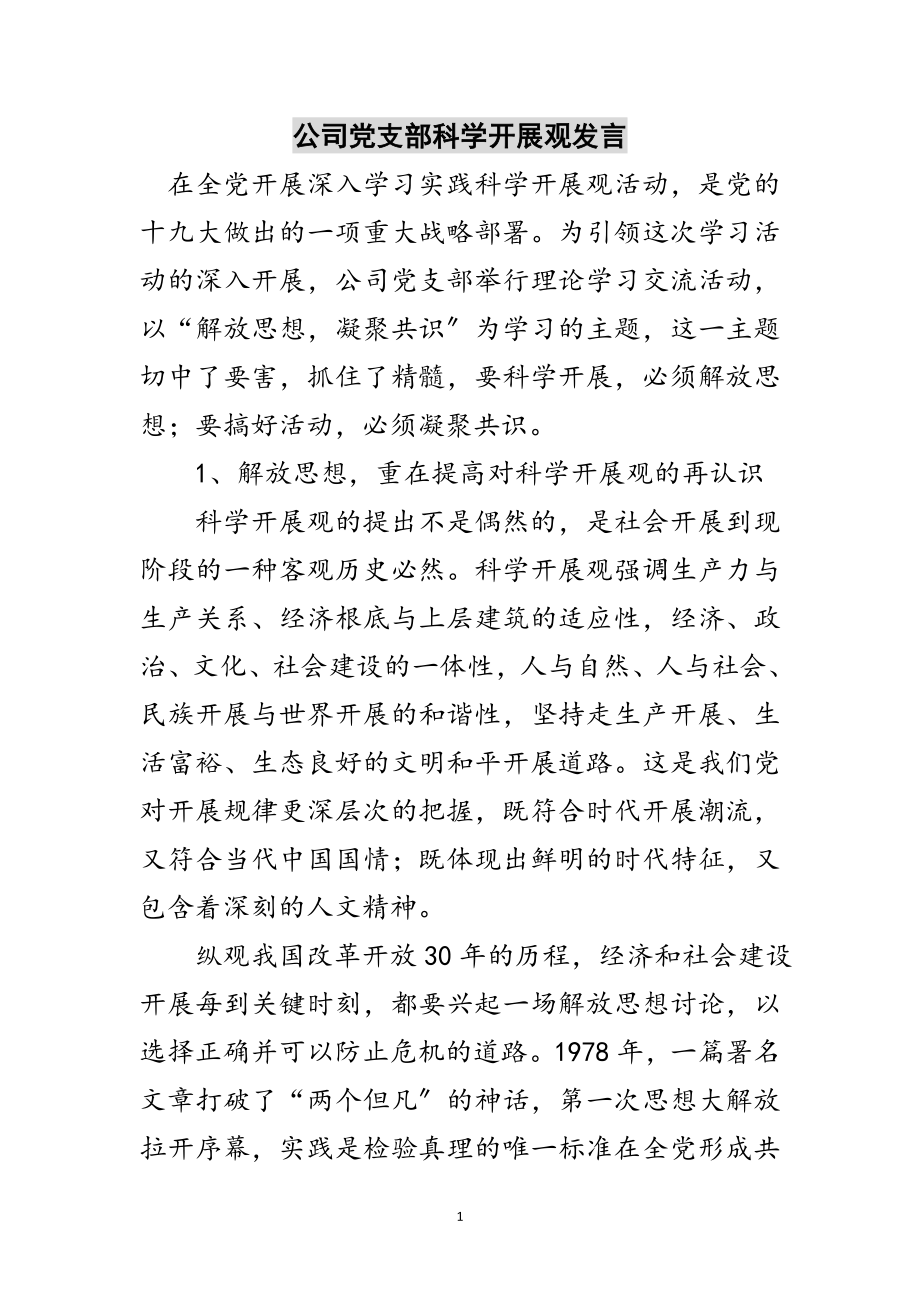 2023年公司党支部科学发展观发言范文.doc_第1页