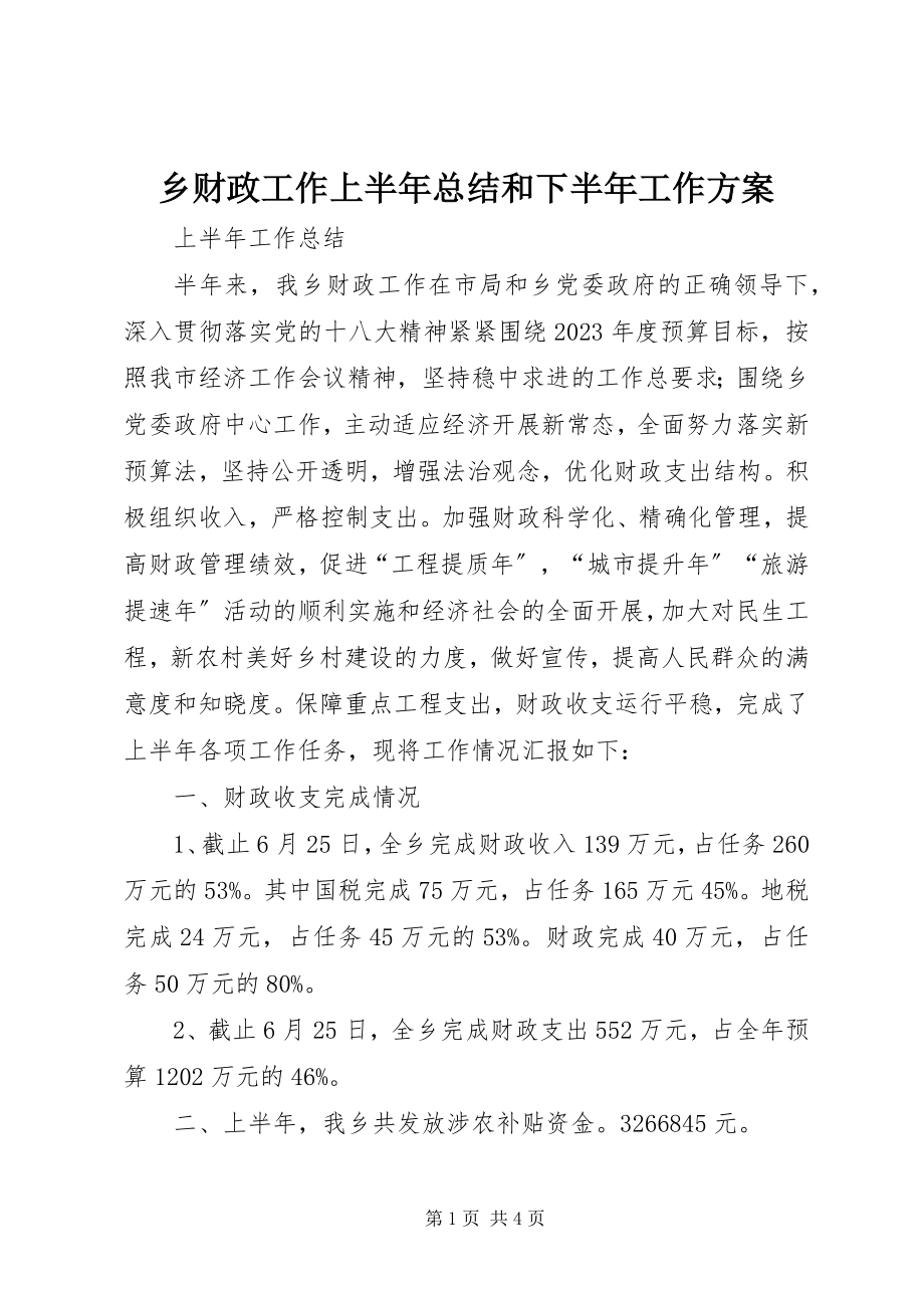 2023年乡财政工作上半年总结和下半年工作计划.docx_第1页