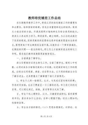 2023年教师培优辅差工作总结.docx