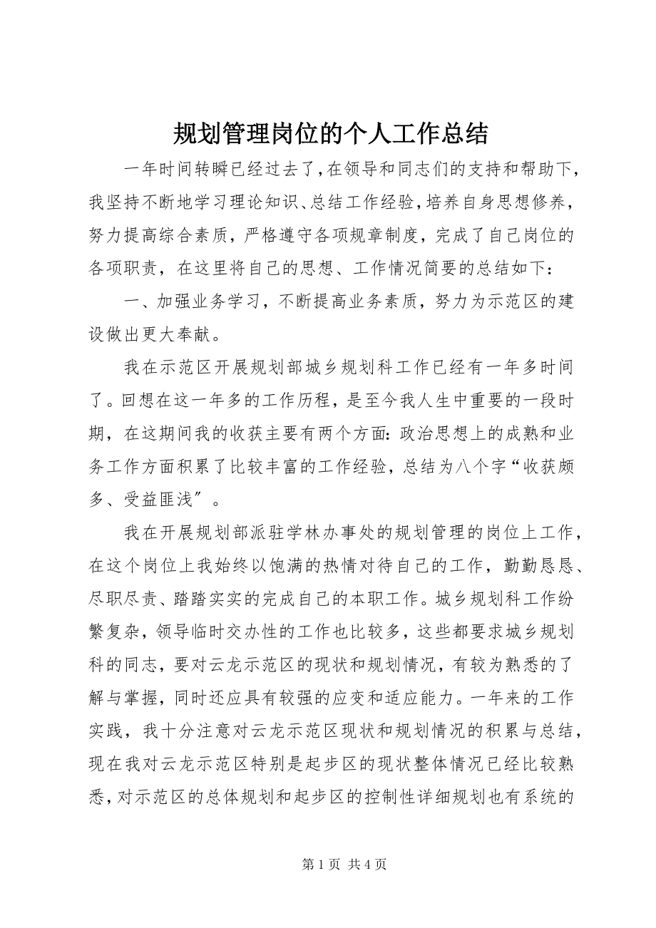 2023年规划管理岗位的个人工作总结.docx_第1页