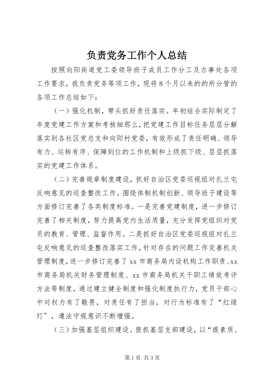 2023年负责党务工作个人总结.docx_第1页