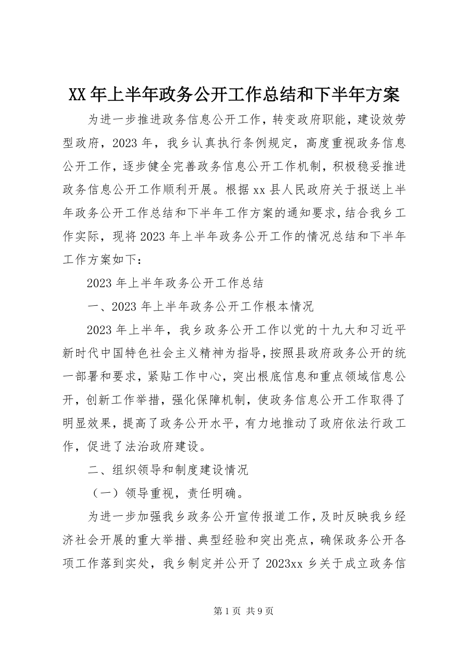 2023年上半年政务公开工作总结和下半计划.docx_第1页