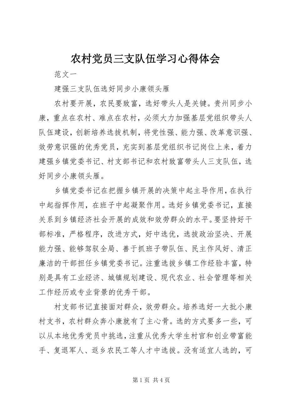 2023年农村党员三支队伍学习心得体会.docx_第1页