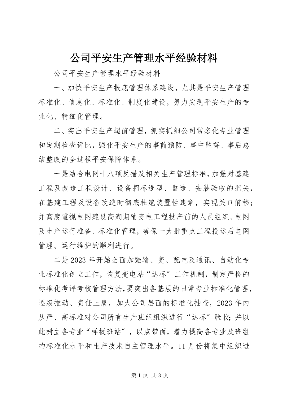 2023年公司安全生产管理水平经验材料.docx_第1页