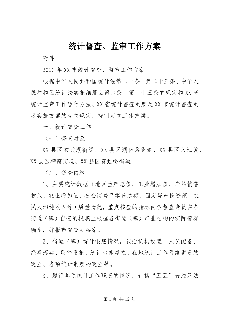 2023年统计督查监审工作计划.docx_第1页