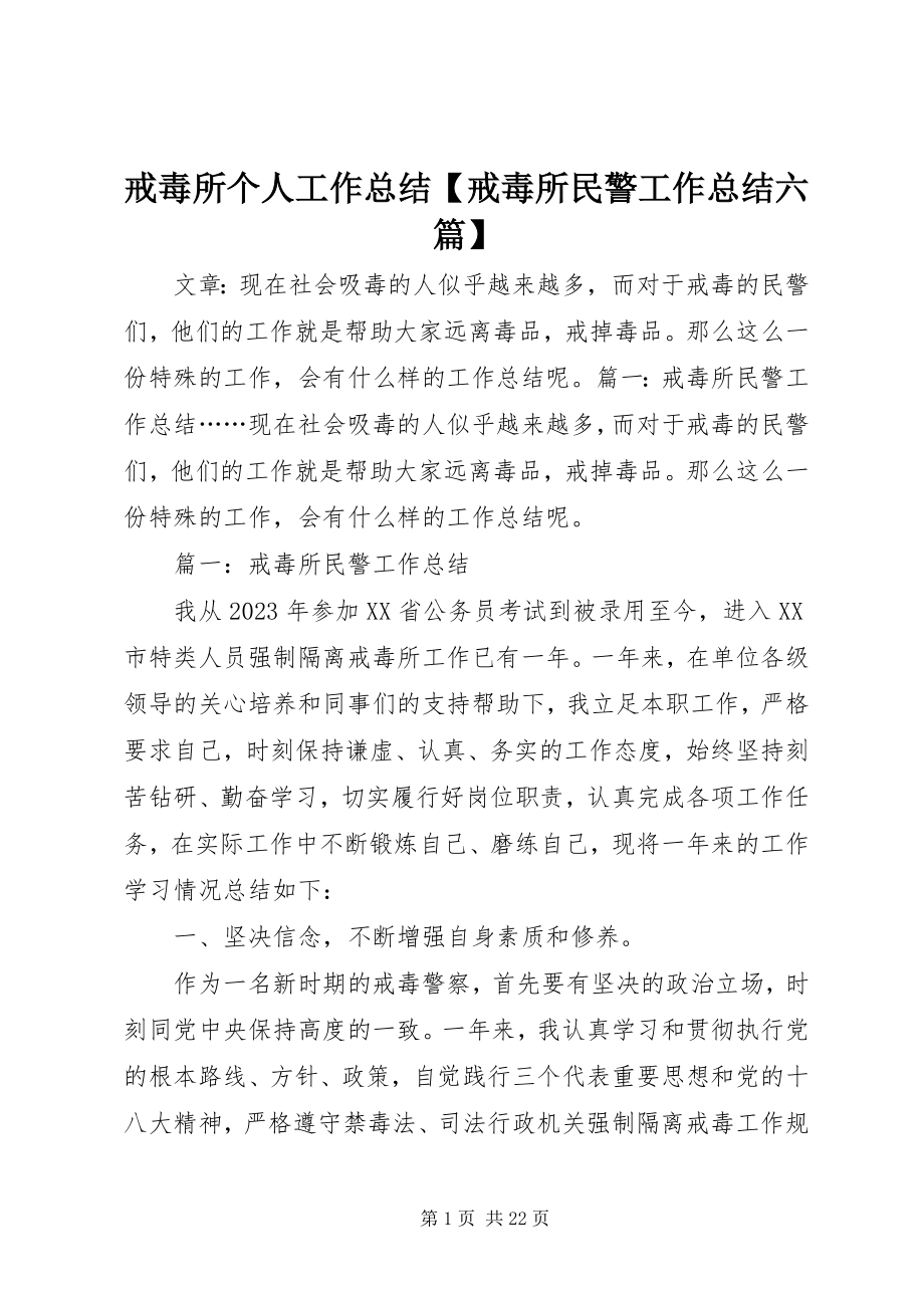 2023年戒毒所个人工作总结【戒毒所民警工作总结六篇】.docx_第1页