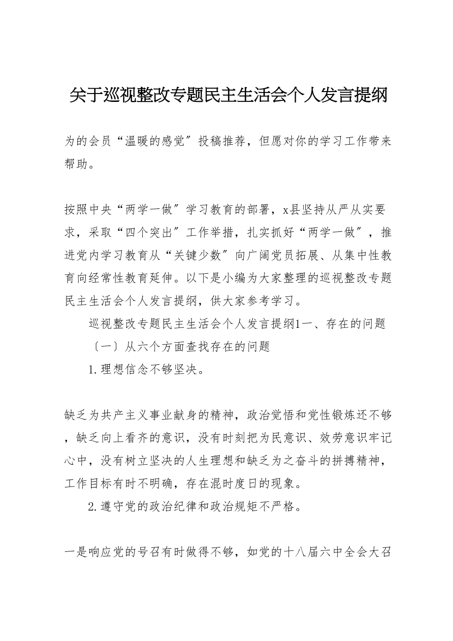 2023年关于巡视整改专题民主生活会个人讲话提纲.doc_第1页