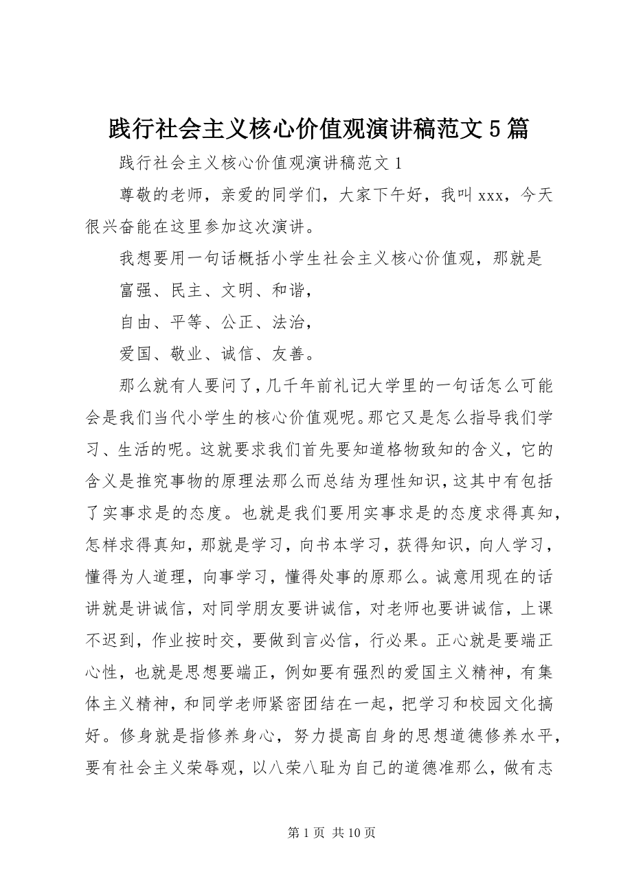 2023年践行社会主义核心价值观演讲稿5篇.docx_第1页