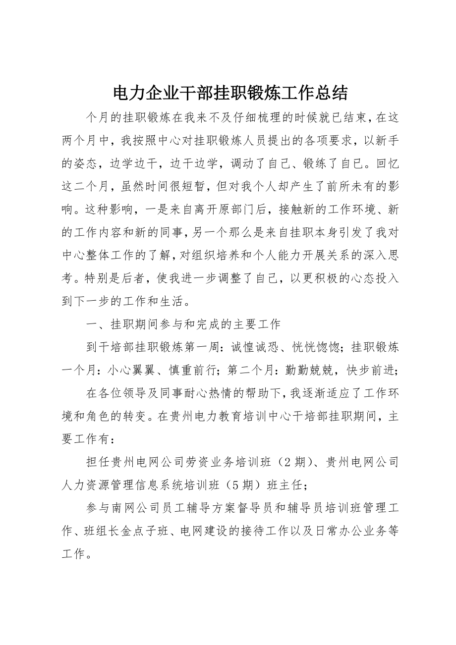 2023年电力企业干部挂职锻炼工作总结新编.docx_第1页