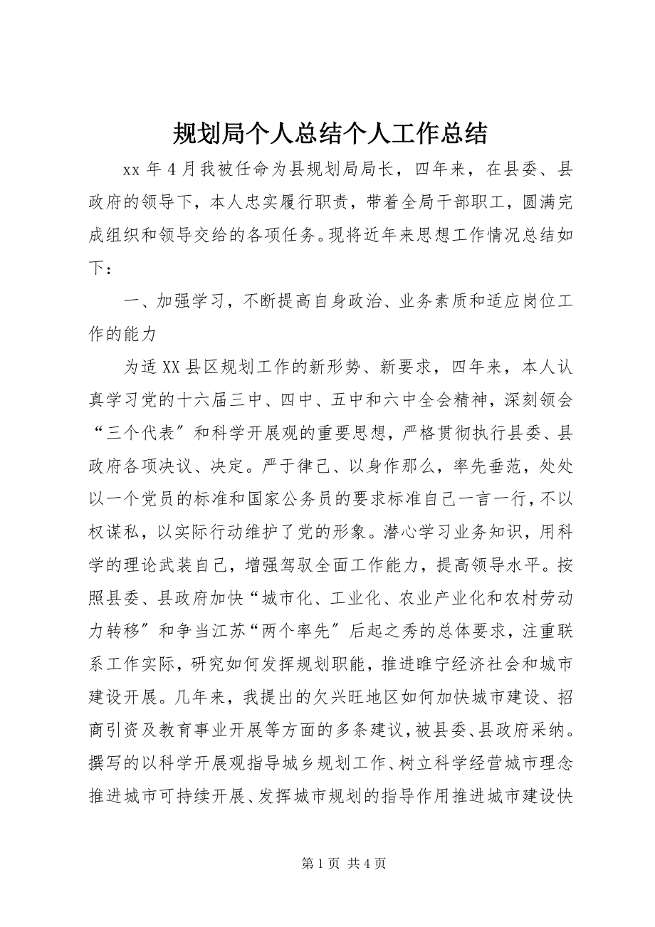 2023年规划局个人总结个人工作总结.docx_第1页