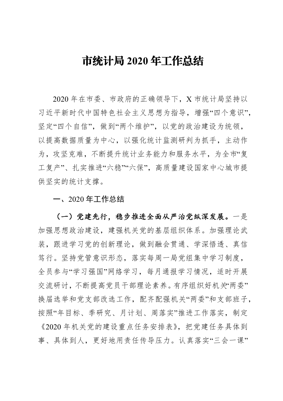 市统计局2020年工作总结.docx_第1页